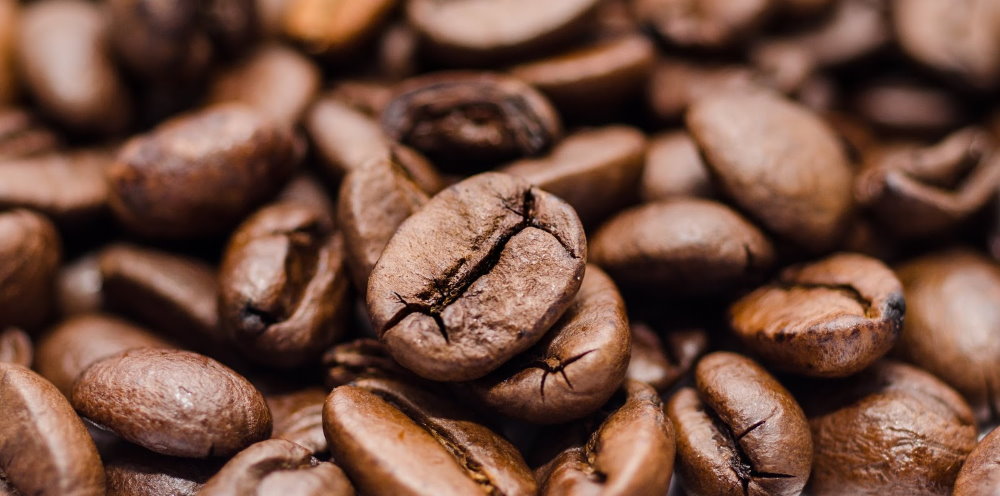Którą kawę ziarnistą najbardziej warto polecić?