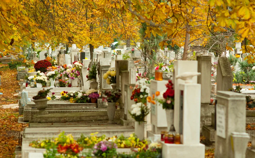Ile kosztuje miejsce na cmentarzu w Gdańsku? Sprawdziliśmy opłaty za grób i kolumbarium