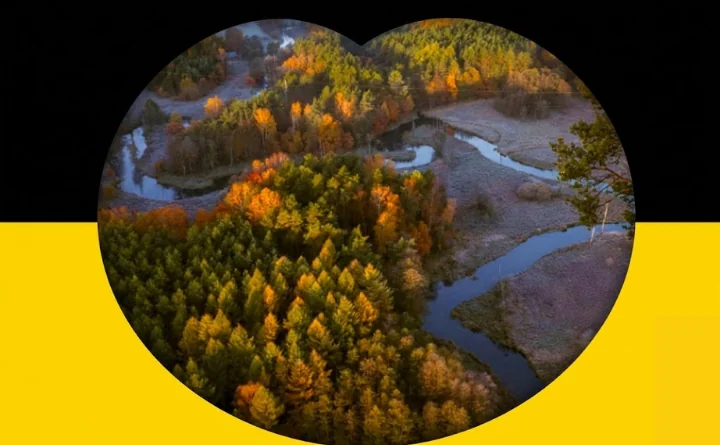 Obraz do artykułu: Kaszëbi dzyś, Kaszëbi zawitno! Wspólnota, język i duma, która przetrwała wieki