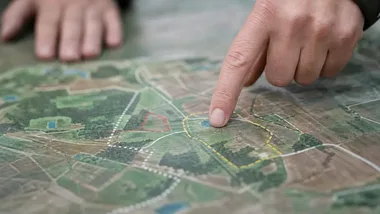 Mieszkańcy wskażą najcenniejsze trójmiejskie lasy. Ruszyła geoankieta