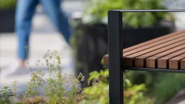 43 lipy i tysiące roślin na Podwalu. Nowe nasadzenia zmienią Plac Kobzdeja