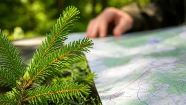 189 głosów o lasach wokół Trójmiasta. Teraz czas na konsultacje