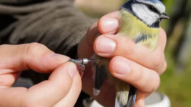 Piknik Bioróżnorodności w Brzeźnie. Przyroda, warsztaty i pomoc zwierzętom