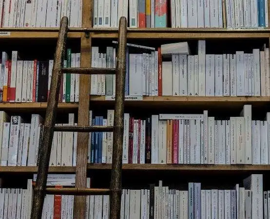 Seniorzy na fali — biblioteka ruszyła z energią na Targach i zapowiada festiwal