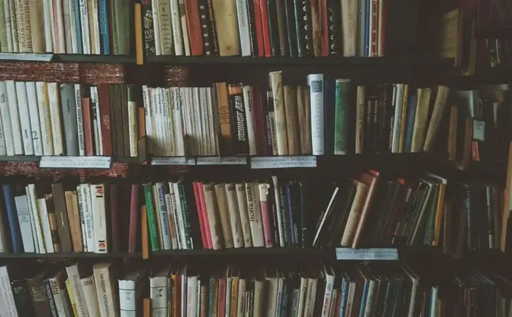 Nagraj rolkę i popłyń daleko - konkurs Pomorskie Żagle Talentów daje realną nagrodę