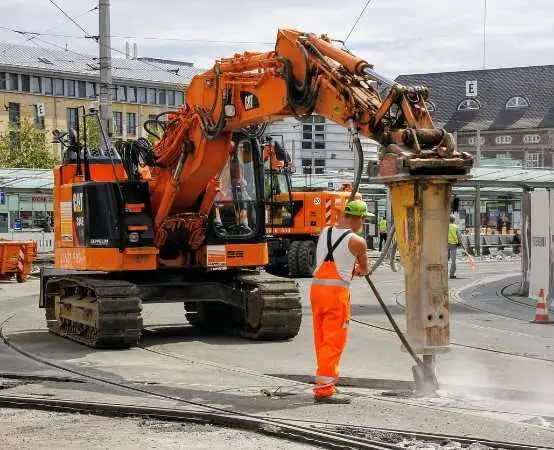 Zabierz bratki z gdańskich rabat i daj im nowe życie na balkonie