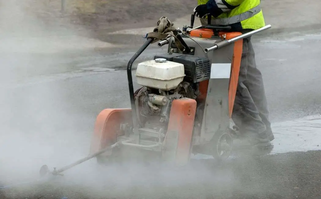 Tydzień z Gdańską Palmiarnią przyciągnął blisko 500 entuzjastów roślinności