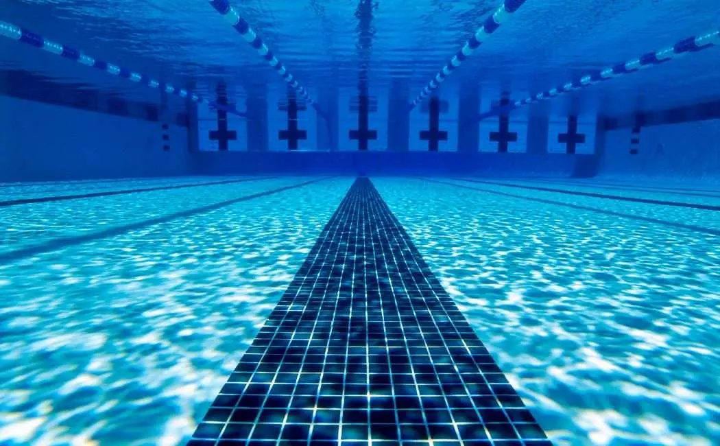 Gdański Ośrodek Sportu ujawnia kalendarz biegów 2026 - nowe trasy i sprawdzone wydarzenia