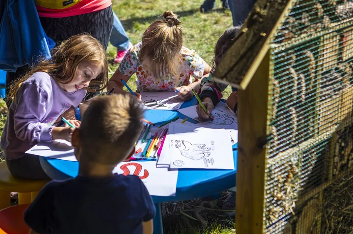 Rodzinny piknik w gdańskim zoo pokaże dzieciom, jak wszystko w przyrodzie się łączy