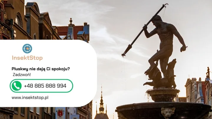 7-gdansk-kontakt-do-firmy-insektstop-20250915075928.webp