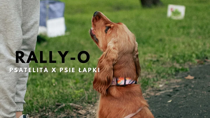 Grafika promocyjna wydarzenia Rally-O w Gdańsku — trening posłuszeństwa i zabawy dla psów