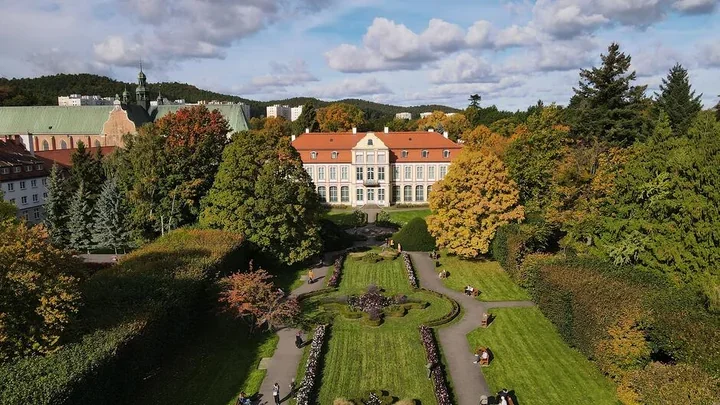 Dwa klony polne w Parku Oliwskim otrzymały status pomnika przyrody