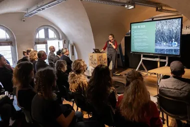 W Gdańsku przyroda nie dostaje taryfy ulgowej, a o każde drzewo trzeba walczyć