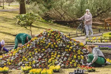 Wiosenne porządki w Gdańsku – tysiące kwiatów, przeglądy i akcje sprzątania