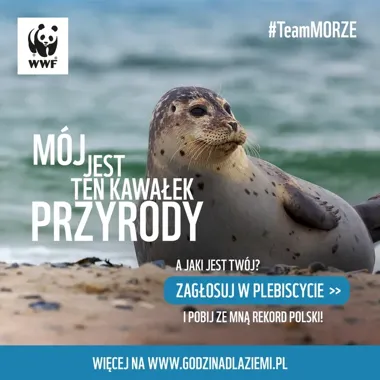 Neptun i ratusz zgasną na godzinę w geście dla Ziemi