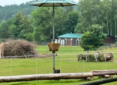 Liście z gałęzi trafią do zwierząt. Wolontariusze MOPR pomagają w zoo