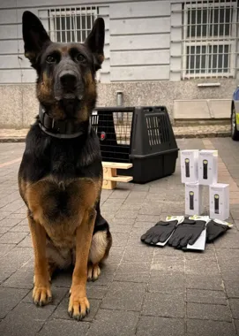 Rękawice, GPS i transporter dla psów. Rafineria wsparła policję w Gdańsku