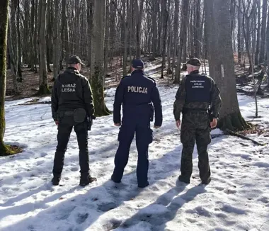 Wieniec 2026 w Gdańsku - policja kontrolowała Lasy Oliwskie, nic nie ujawniono