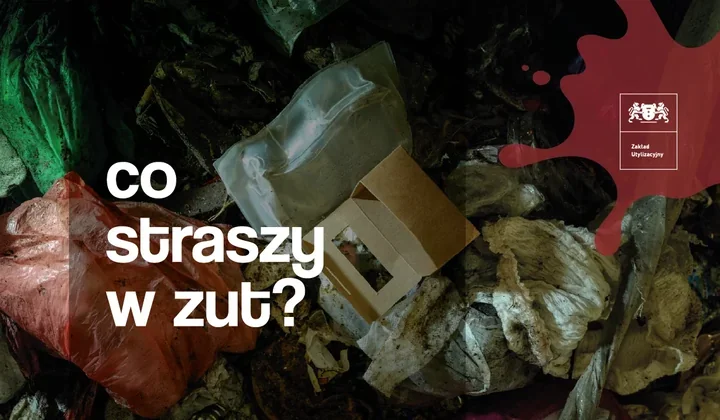Trzy błędy przy segregacji odpadów mogą zepsuć cały recykling